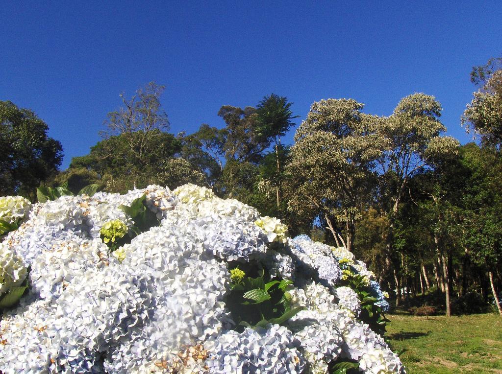Pousada Wicca Vale São Bento do Sapucaí Buitenkant foto