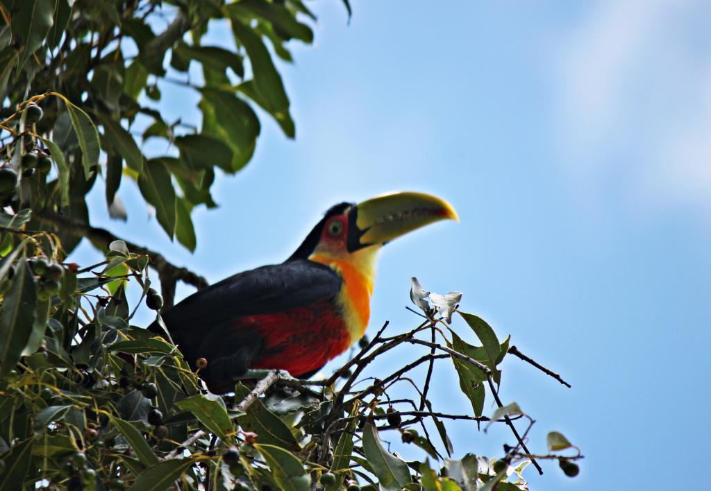 Pousada Wicca Vale São Bento do Sapucaí Buitenkant foto