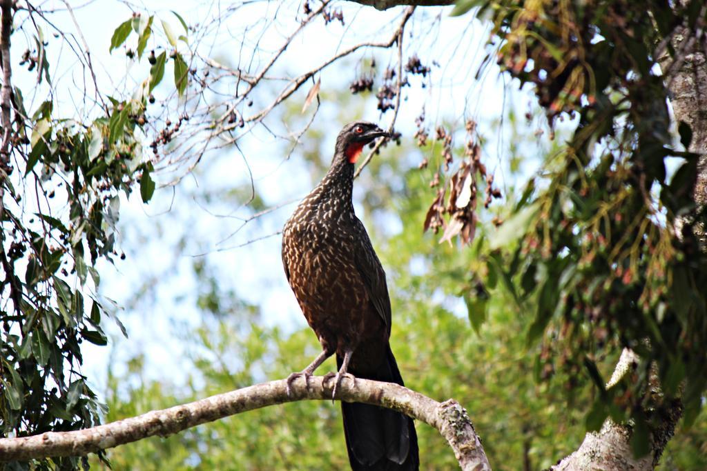Pousada Wicca Vale São Bento do Sapucaí Buitenkant foto